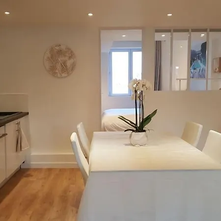 Duplex Plein Centre, Zone Pietonne, 2 Apartment