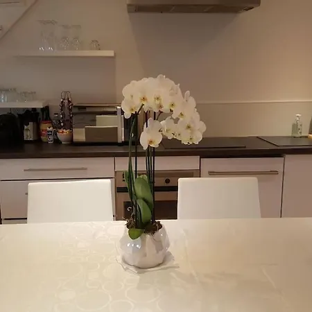 Duplex Plein Centre, Zone Pietonne, 2 Apartment