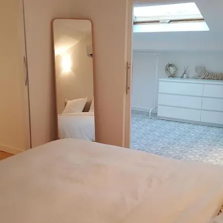 Apartment Duplex Plein Centre, Zone Pietonne, 2 Cannes