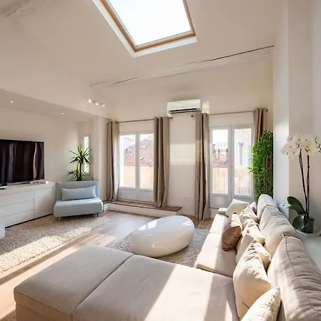 Duplex Plein Centre, Zone Pietonne, 2 Apartment Cannes